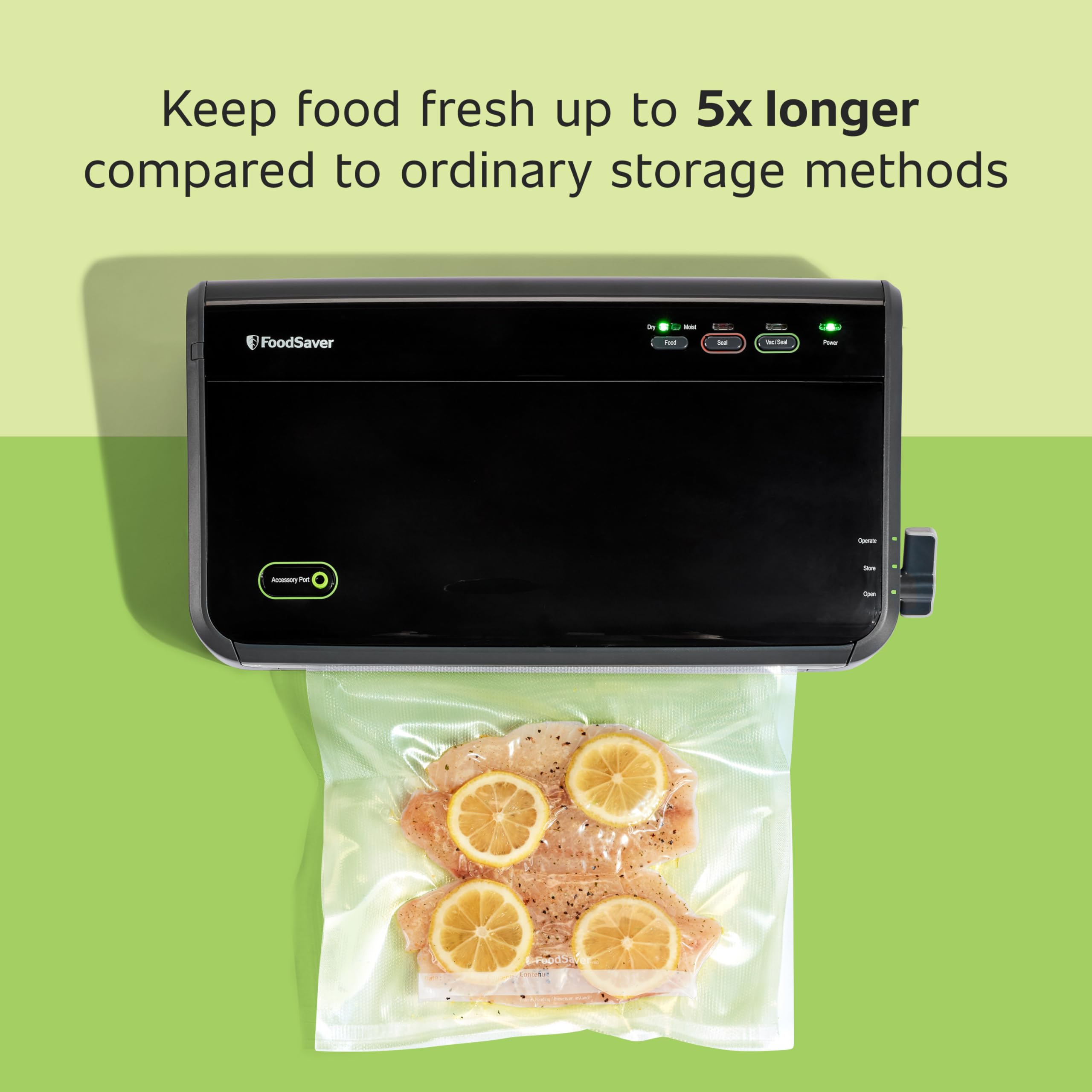 FoodSaver FM2100